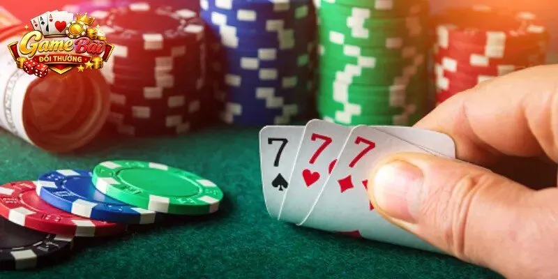 Nắm cách đoán nước bài Catte dễ chiếm ưu thế rõ rệt